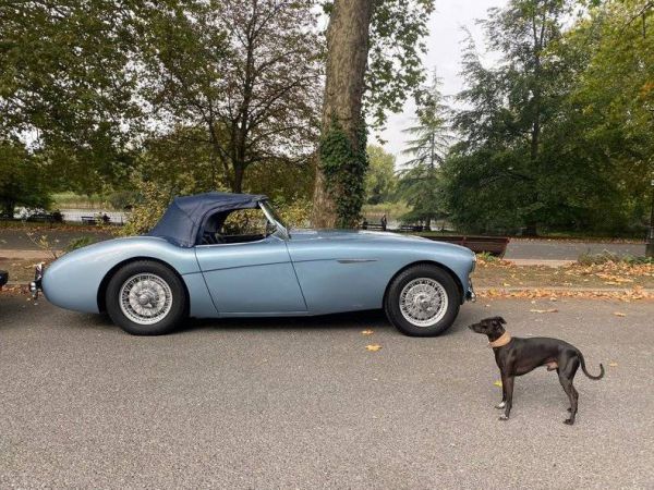 Austin-Healey 100/4 (BN1) 1954