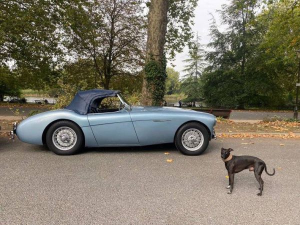 Austin-Healey 100/4 (BN1) 1954 16530