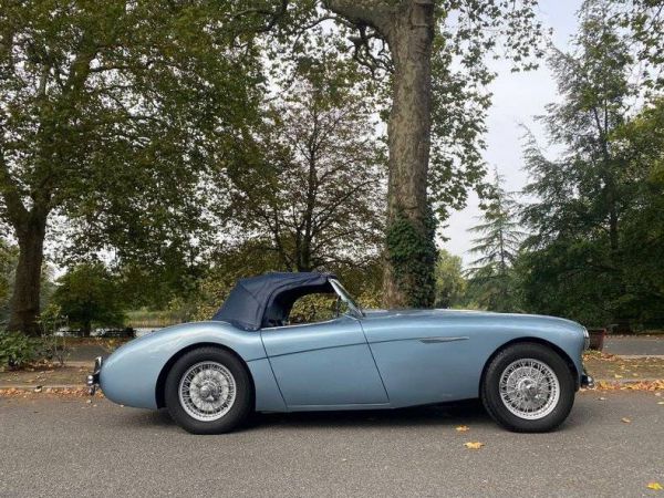 Austin-Healey 100/4 (BN1) 1954 16531