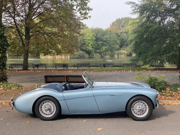 Austin-Healey 100/4 (BN1) 1954 16534