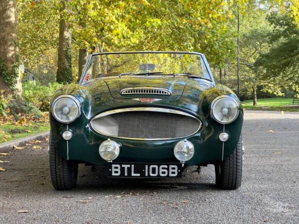 Austin-Healey 3000 Mk II (BJ7) 1964 16882