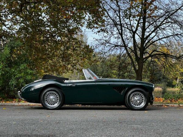 Austin-Healey 3000 Mk II (BJ7) 1964 16886