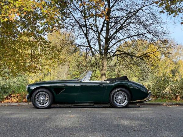 Austin-Healey 3000 Mk II (BJ7) 1964 16888