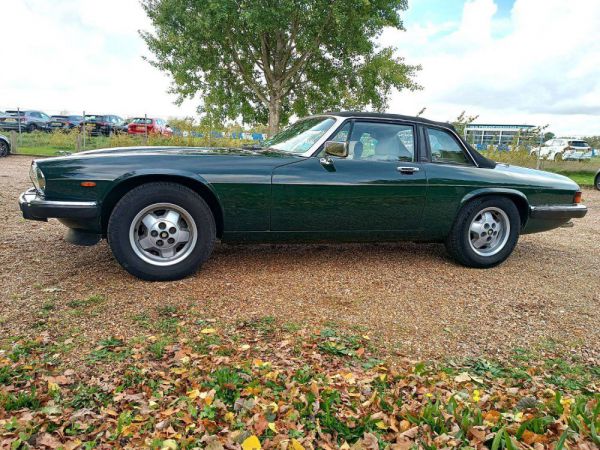 Jaguar XJ-SC 3.6 1987 51304