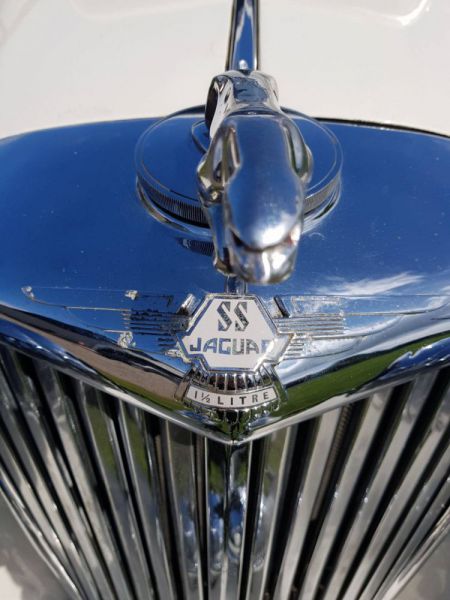 Jaguar SS 100 1900 57628