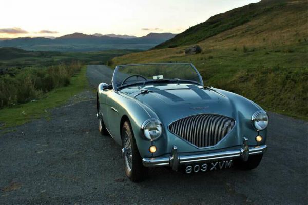 Austin-Healey 100/4 (BN1) 1953