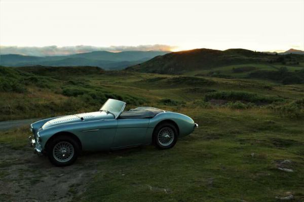 Austin-Healey 100/4 (BN1) 1953 58372