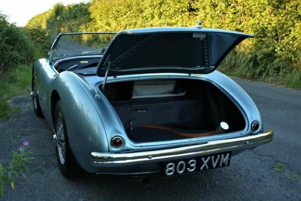 Austin-Healey 100/4 (BN1) 1953 58381