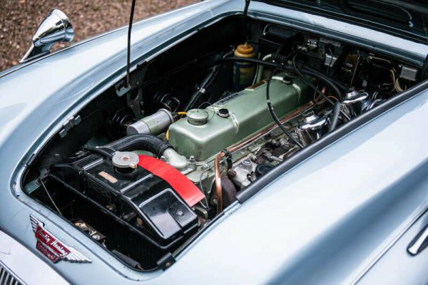 Austin-Healey 3000 Mk III (BJ8) 1966 100031