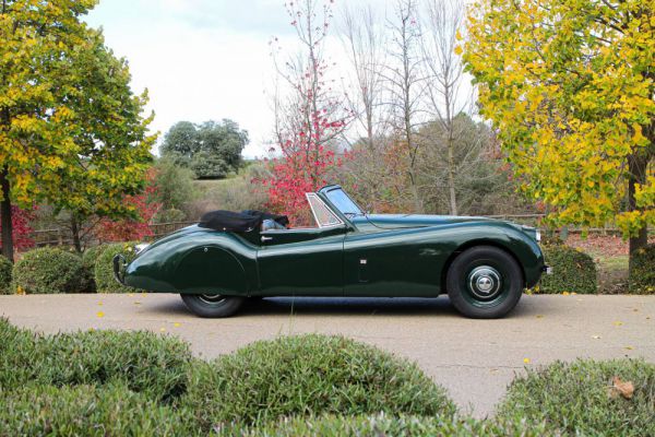 Jaguar XK 120 DHC 1953 95903