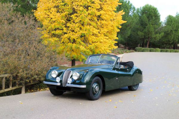 Jaguar XK 120 DHC 1953 95904