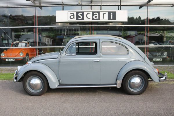 Volkswagen Maggiolino 1200 Standard "Ovali" 1954