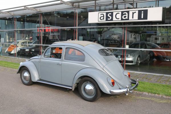 Volkswagen Maggiolino 1200 Standard "Ovali" 1954 1518