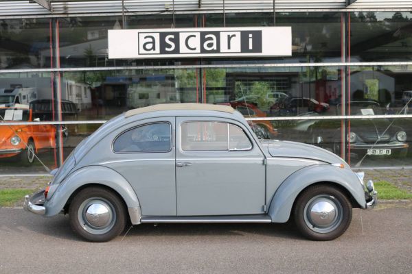 Volkswagen Maggiolino 1200 Standard "Ovali" 1954 1522