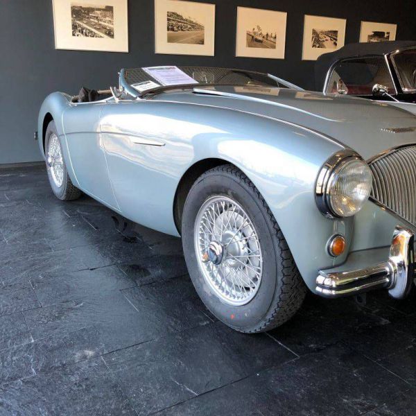 Austin-Healey 100/4 (BN1) 1954