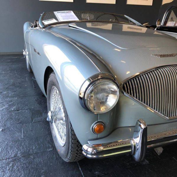 Austin-Healey 100/4 (BN1) 1954 3623