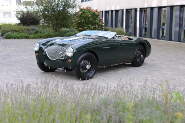 Austin-Healey 100/4 (BN1) 1954 95565