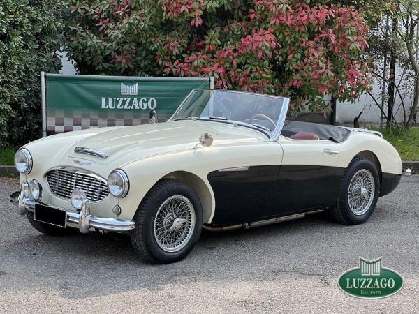 Austin-Healey 100/6 (BN6) 1958