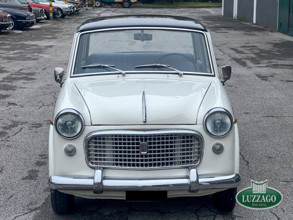 Fiat 1100-103 G Special 1962 68571