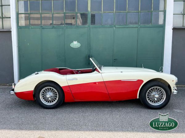 Austin-Healey 100/6 (BN4) 1958 80797