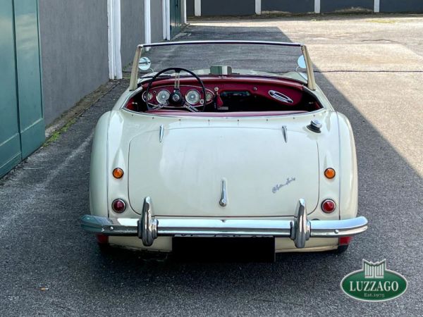 Austin-Healey 100/6 (BN4) 1958 80799