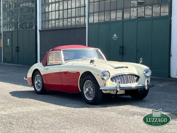 Austin-Healey 100/6 (BN4) 1958 80802