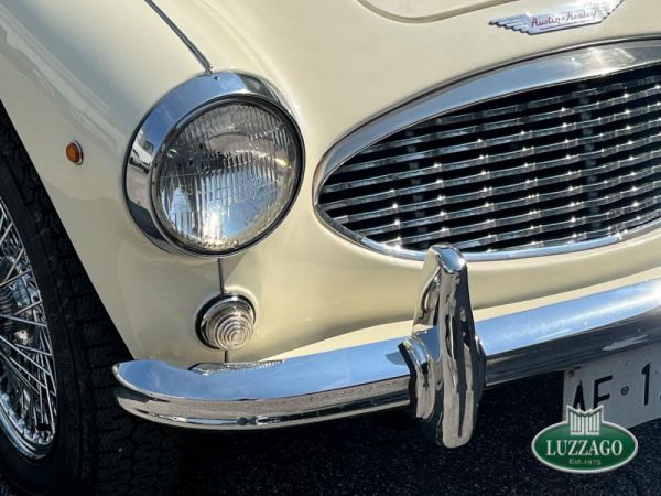 Austin-Healey 100/6 (BN4) 1958 80806