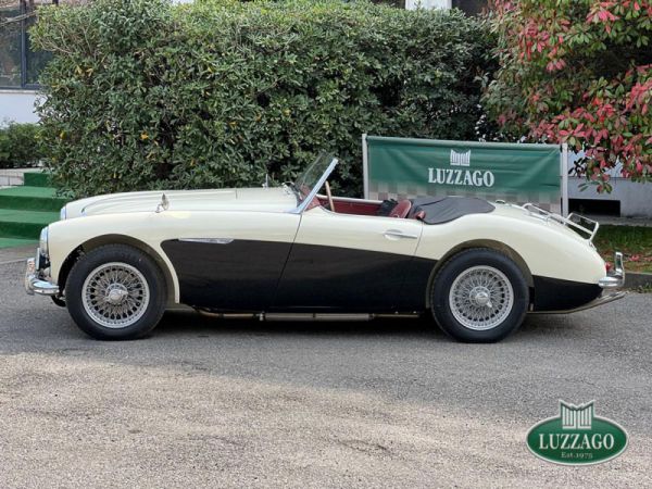 Austin-Healey 100/6 (BN6) 1958 80818