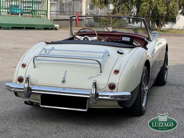 Austin-Healey 100/6 (BN6) 1958 80821