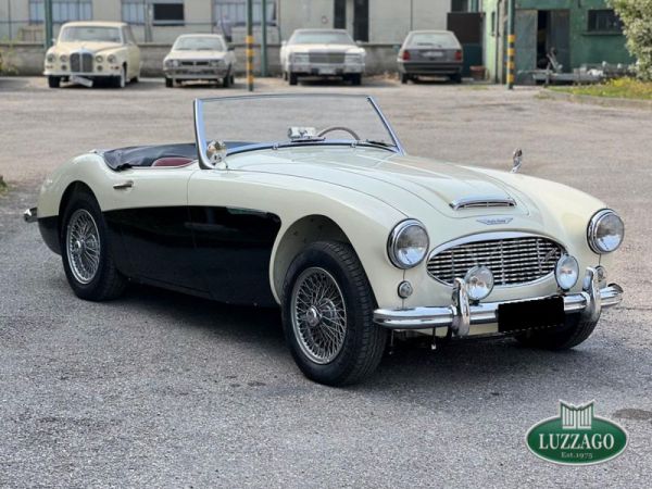 Austin-Healey 100/6 (BN6) 1958 80822