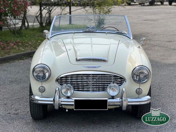 Austin-Healey 100/6 (BN6) 1958 80823