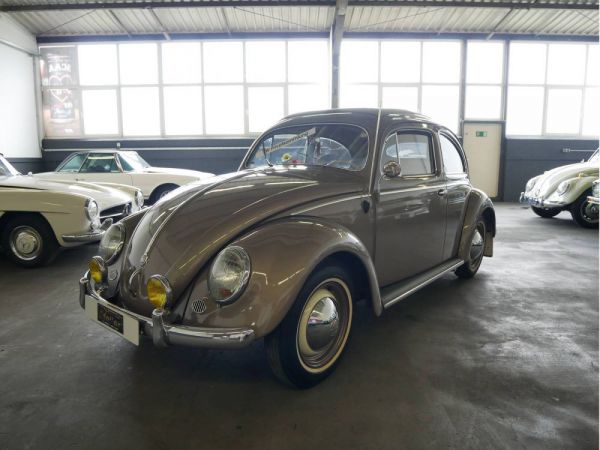 Volkswagen Maggiolino 1200 Standard "Ovali" 1955 42064