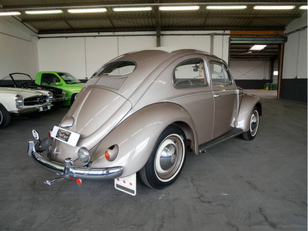 Volkswagen Maggiolino 1200 Standard "Ovali" 1955 42068