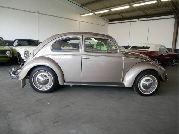 Volkswagen Maggiolino 1200 Standard "Ovali" 1955 42069