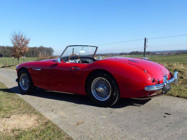 Austin-Healey 3000 Mk I (BN7) 1960 49712