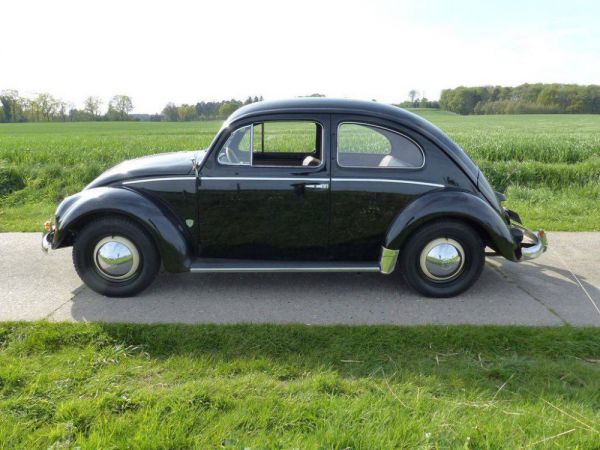 Volkswagen Maggiolino 1200 Standard "Ovali" 1954 50147