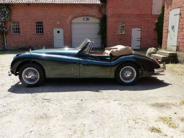 Jaguar XK 140 SE DHC 1956 50339