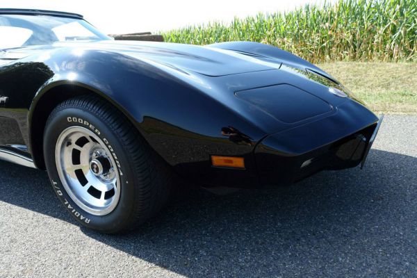 Chevrolet Corvette Stingray 1974 42747