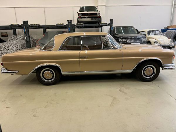 Mercedes-Benz 250 SE 1966 49287