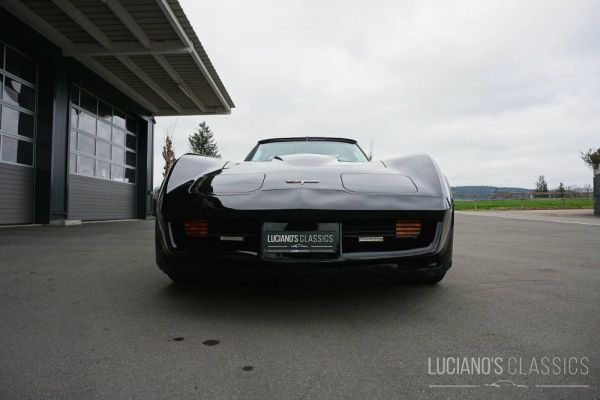 Chevrolet Corvette Stingray 1980 33845