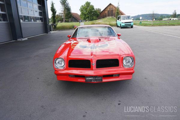 Pontiac Firebird TransAm 1976 33913