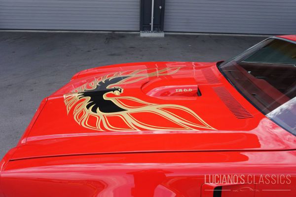 Pontiac Firebird TransAm 1976 33917