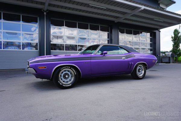 Dodge Challenger R/T 1971 74547