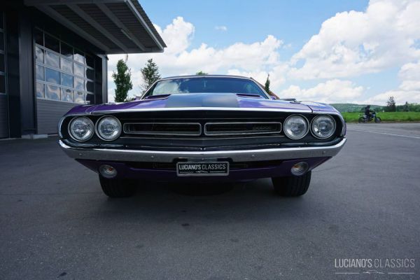 Dodge Challenger R/T 1971 74558