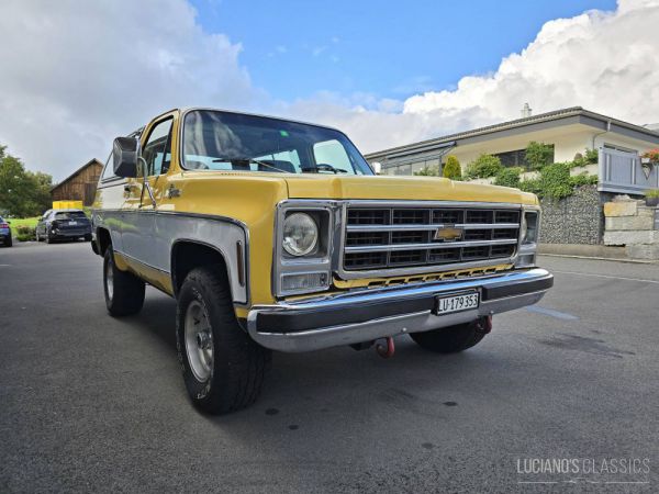 Chevrolet Blazer 1979 98605