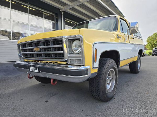 Chevrolet Blazer 1979 98608