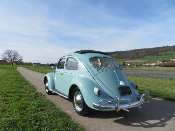 Volkswagen Maggiolino 1200 Standard "Dickholmer" 1961