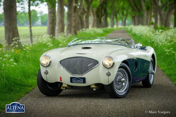 Austin-Healey 100/4 (BN1) 1953