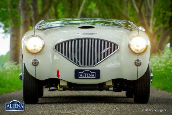 Austin-Healey 100/4 (BN1) 1953 997