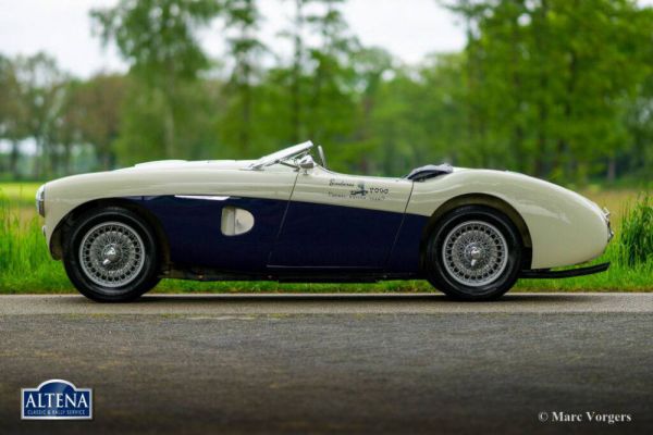 Austin-Healey 100/4 (BN1) 1953 999